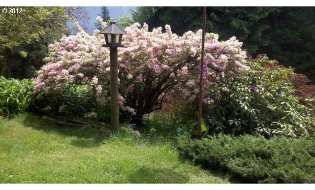 1072 Riverside Drive Washougal, WA 98671 - Photo 15 of 16 Gallery Image 15