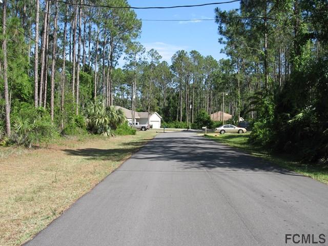 22 Rippling Brook Drive Palm Coast, FL 32164 - Photo 15 of 25 Gallery Image 15