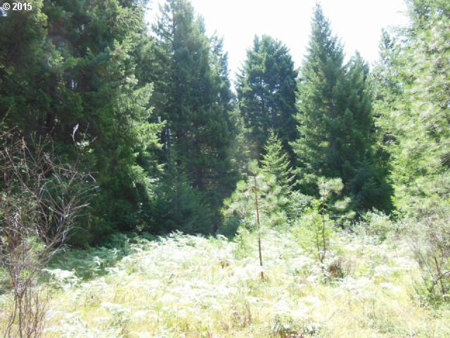 24 Strong Road Trout Lake, WA 98650 - Photo 4 of 10 Gallery Image 4