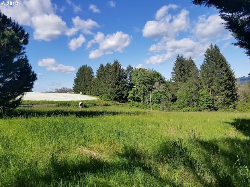 1873 Northwest Phillips Road Gaston, OR 97119 - Photo 2 of 25