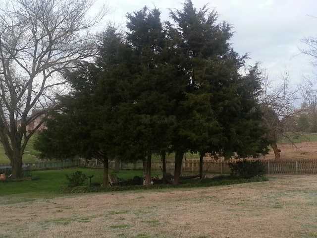 310 Caitlin Road Oakland, TN 38060 - Photo 20 of 22 Gallery Image 20