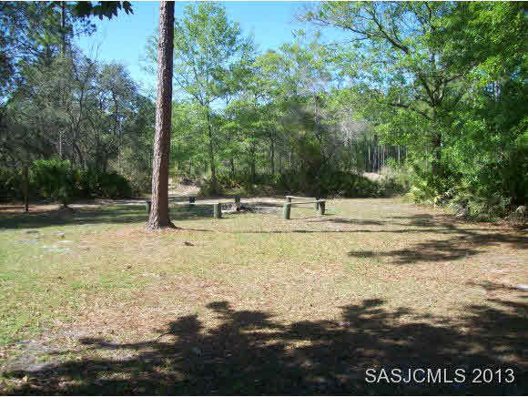 1905 B Lightsey Road St. Augustine, FL 32084 - Photo 5 of 8 Front of yard