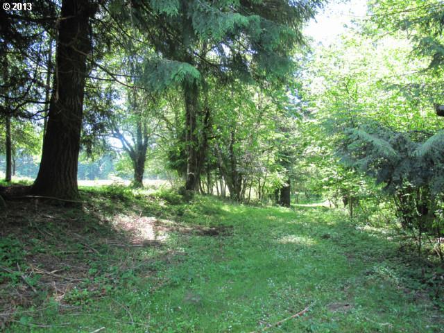 Bear Prairie Road Washougal, WA 98671 - Photo 4 of 5 Gallery Image 4