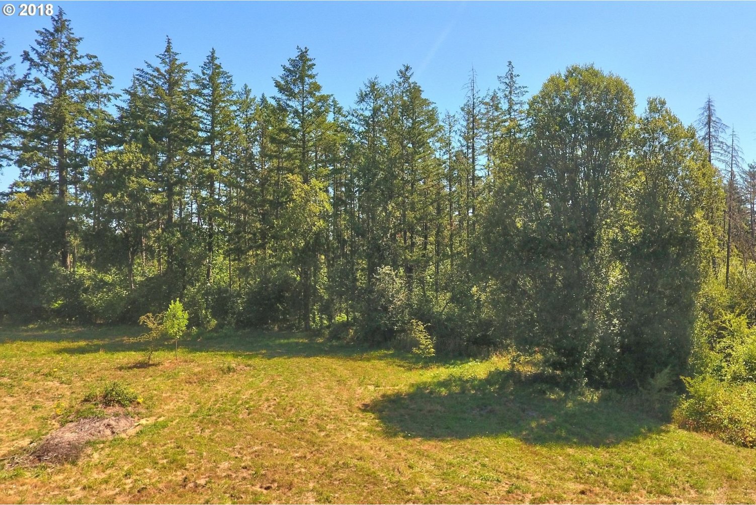 22920 Southwest Riggs Road Beaverton, OR 97078 - Photo 30 of 32