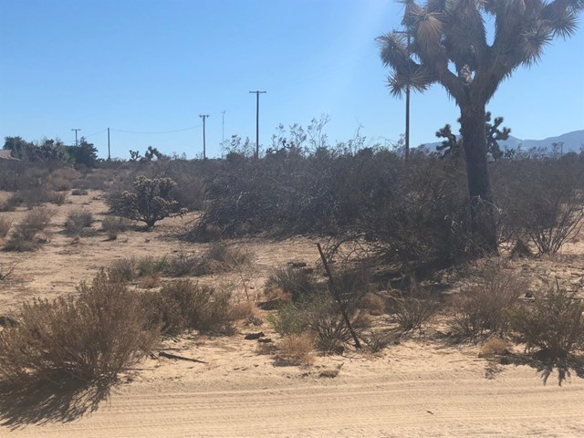0 4th Phelan, CA 92371 - Photo 3 of 3