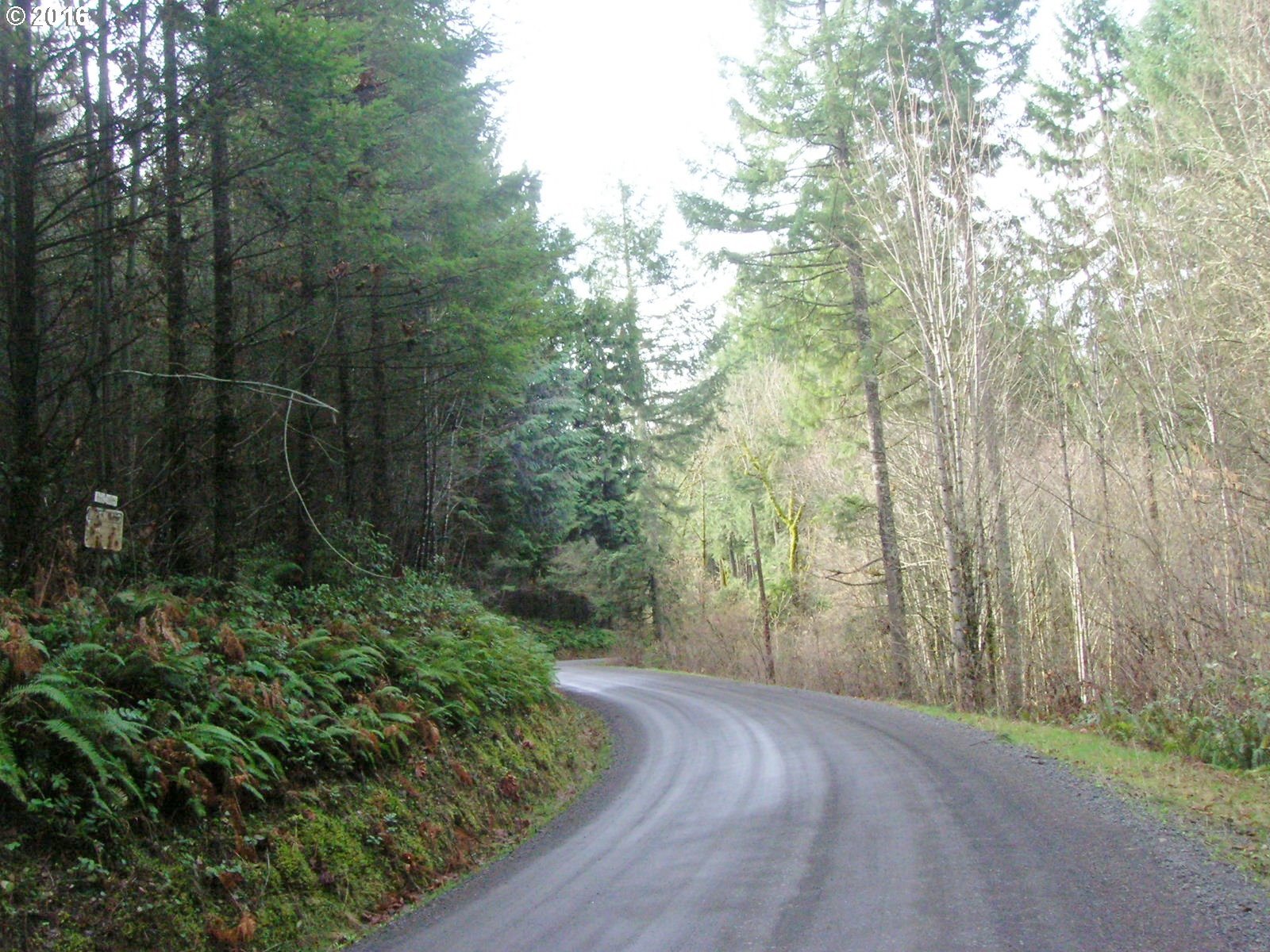 Northwest Murphy Road North Plains, OR 97133 - Photo 4 of 9 Gallery Image 4