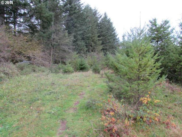 Skye Road Washougal, WA 98671 - Photo 10 of 11