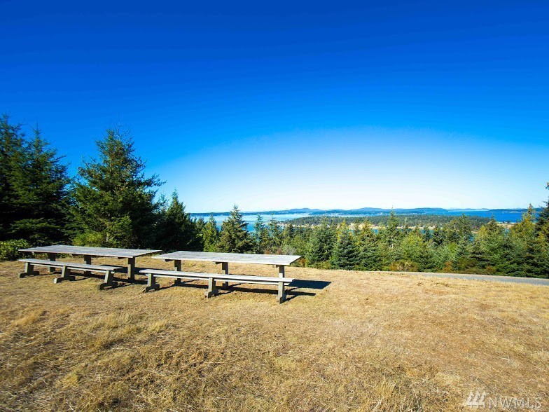 Dragon Run Road Lopez Island, WA 98261 - Photo 6 of 25