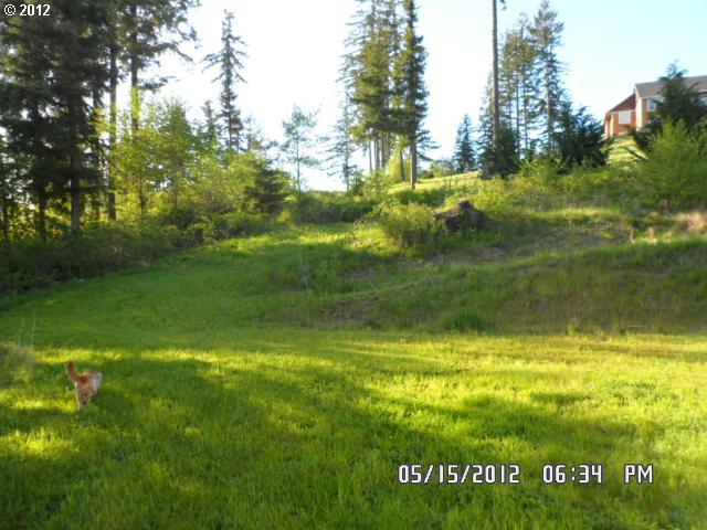 107 Green Mountain Road Kalama, WA 98625 - Photo 6 of 16 Gallery Image 6