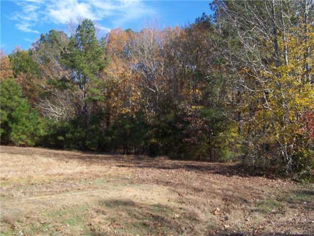 0 New Hope Road Adamsville, TN 38310 - Photo 9 of 12 Gallery Image 9