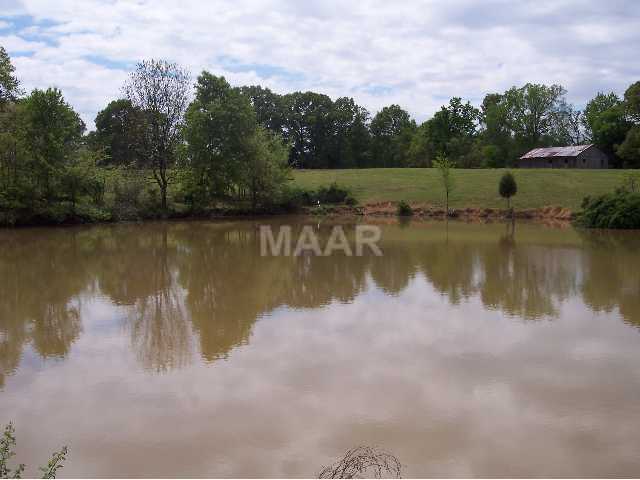 Nice, large pond.