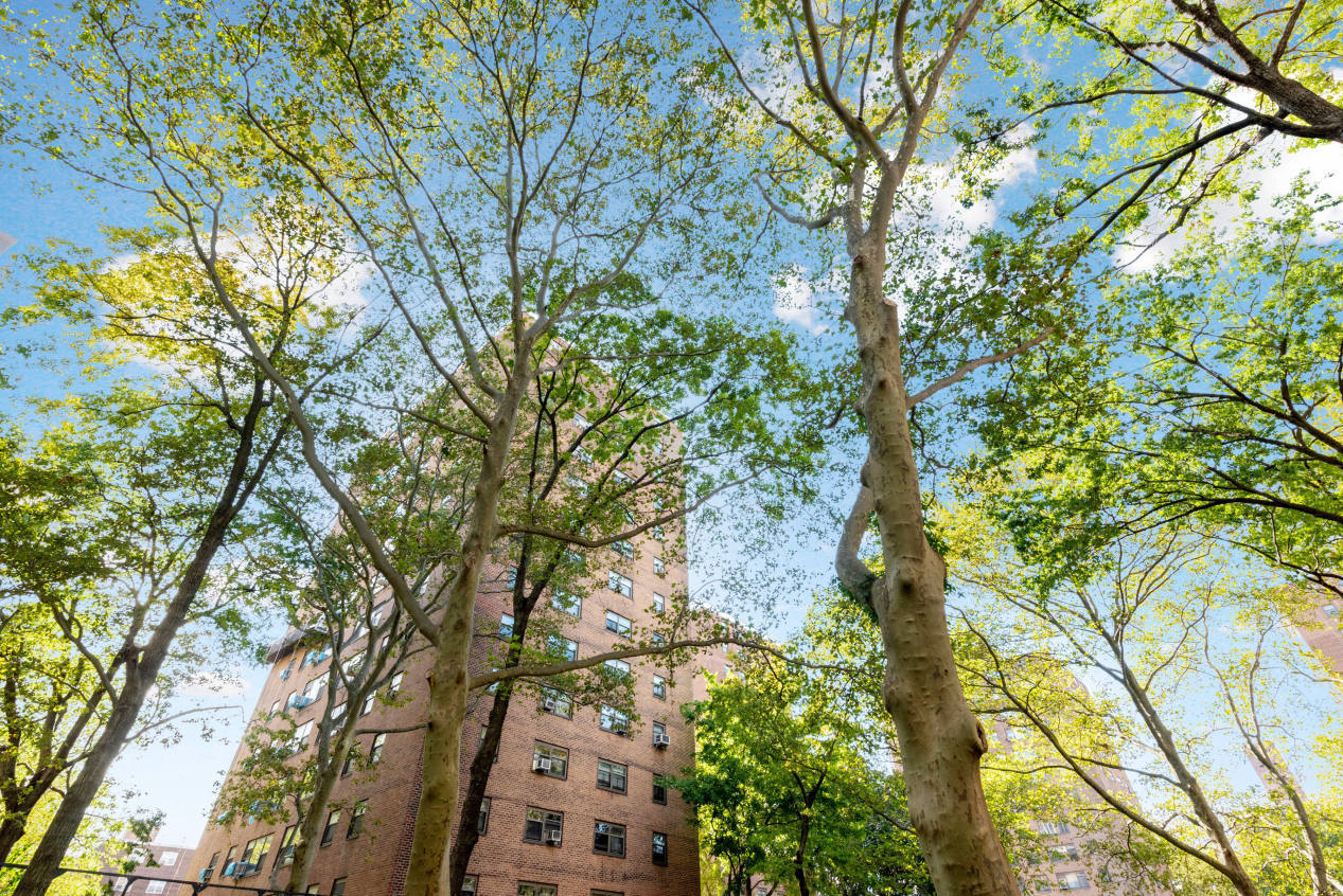 Queensview 21-41 34th Ave, Queens, NY 11106 - Photo 2 of 3