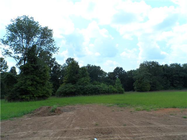 25 Lasea Way Spring Hill, TN 37174 - Photo 20 of 24 View from back porch