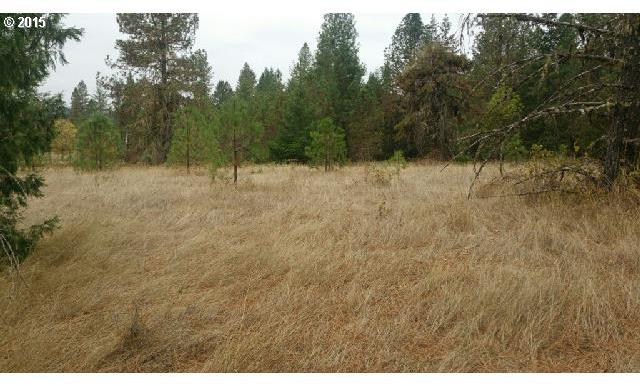 966 Doerner Road Roseburg, OR 97471 - Photo 2 of 8