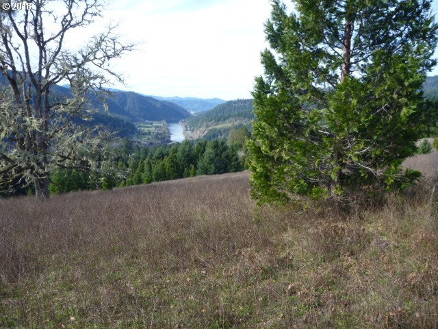 0 Brad Road Oakland, OR 97462 - Photo 8 of 10 Gallery Image 8