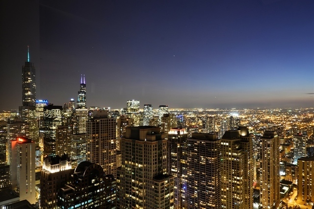 161 E Chicago Ave, Chicago, IL 60611 - Photo 8 of 15