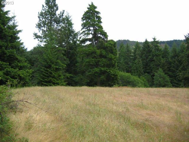 Osterman Road White Salmon, WA 98672 - Photo 10 of 16 Gallery Image 10