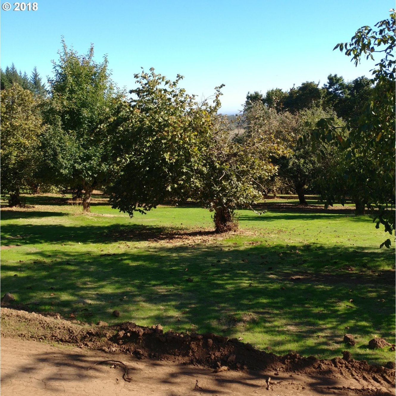 17942 Southeast Walnut Hill Road Amity, OR 97101 - Photo 11 of 19 Gallery Image 11