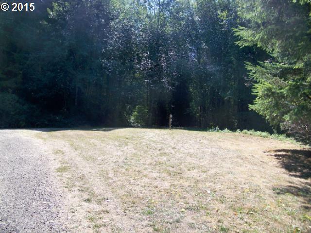 1993 Headquarters Road Castle Rock, WA 98611 - Photo 6 of 12 Gallery Image 6