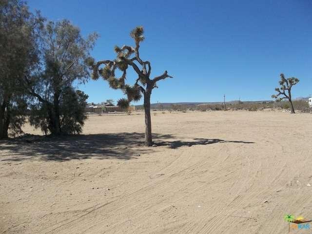 56291 Handley Road Yucca Valley, CA 92284 - Photo 50 of 52
