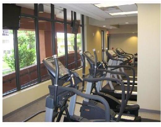 8395 Southwest 73rd Avenue, Unit 710 Miami, FL 33143 - Photo 7 of 8