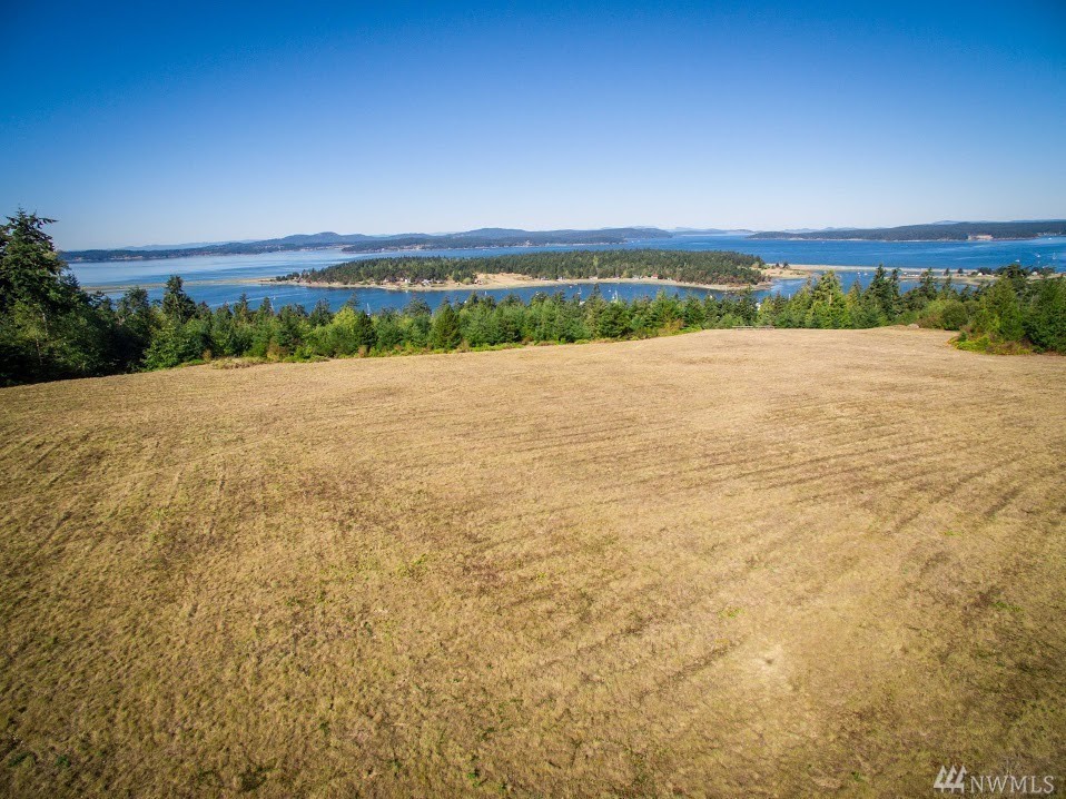 Dragon Run Road Lopez Island, WA 98261 - Photo 5 of 25