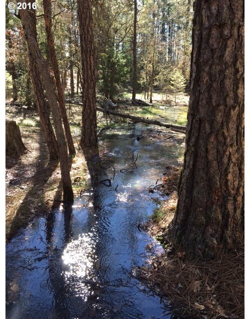 314 Tamarack Goldendale, WA 98620 - Photo 32 of 32