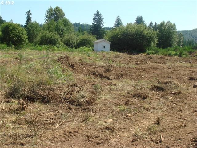 Obsidion Road, Unit J Ariel, WA 98603 - Photo 3 of 4 Gallery Image 3