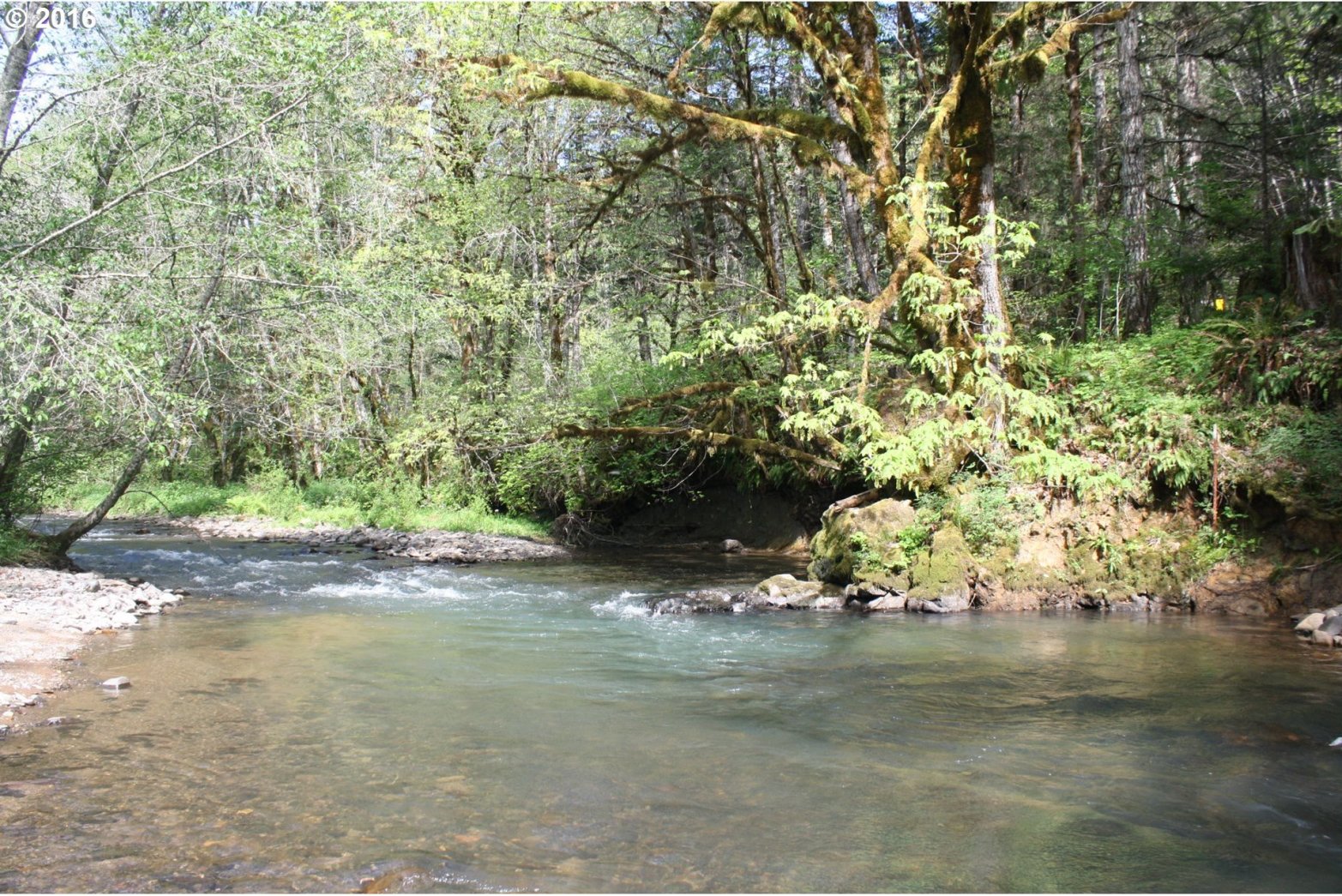 16561 Nonpareil Road Sutherlin, OR 97479 - Photo 10 of 12 Gallery Image 10