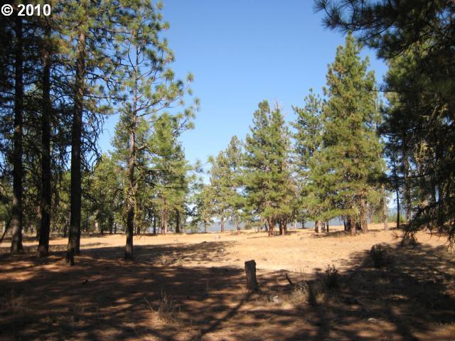 Woodland Road, Unit 3 Goldendale, WA 98620 - Photo 1 of 4 Gallery Image 1