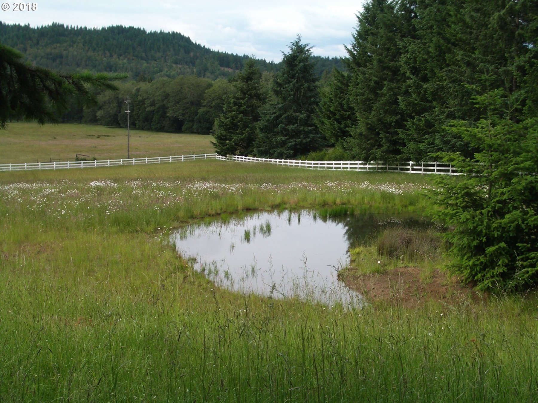 31748 Camas Swale Road Creswell, OR 97426 - Photo 29 of 32 Gallery Image 29