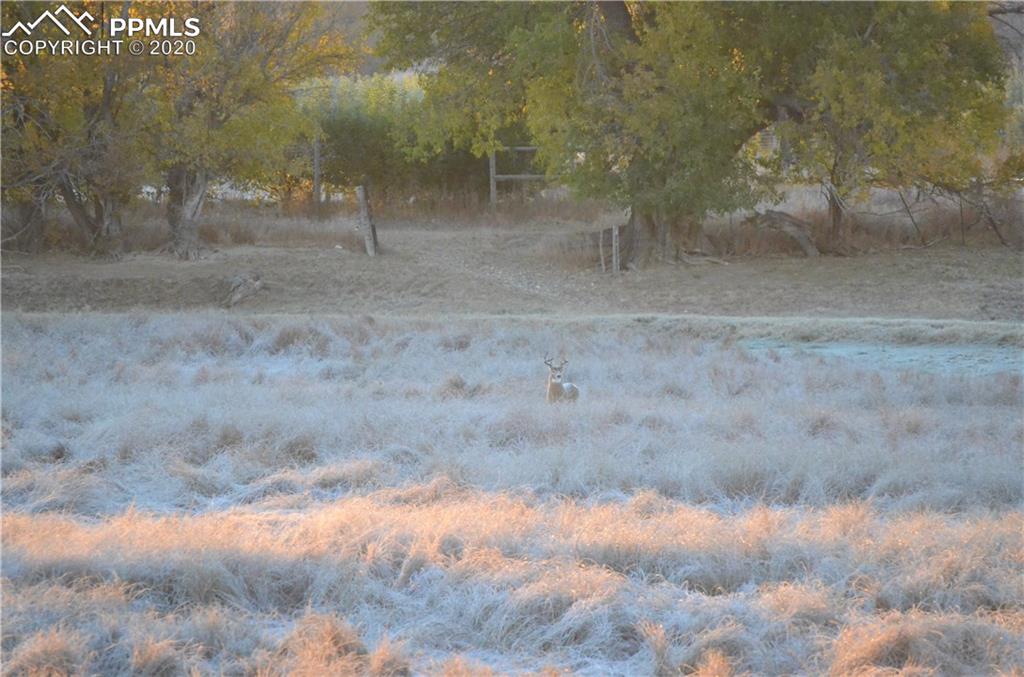 65295 Highway 50 Fowler, CO 81039 - Photo 23 of 26