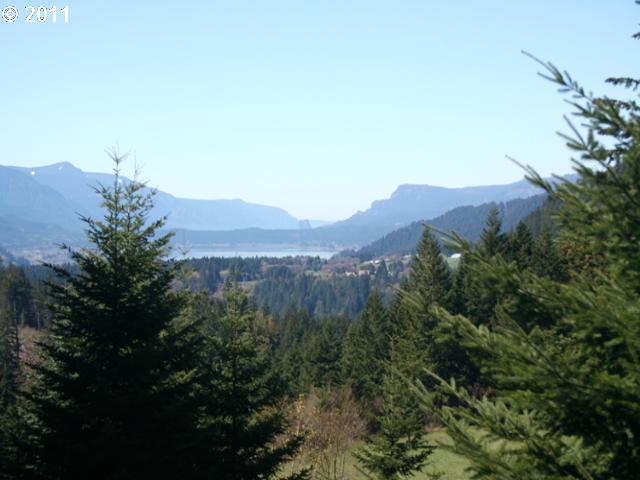 402 Dillon Road Stevenson, WA 98648 - Photo 2 of 16 Gallery Image 2