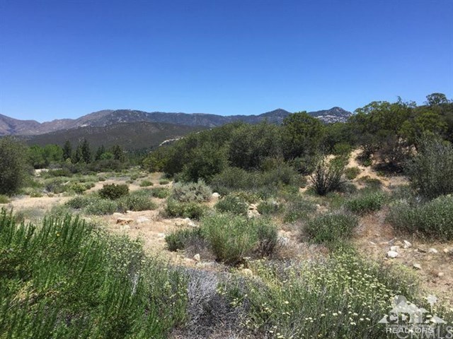 40 Hop Patch Spring Road Mountain Center, CA 92561 - Photo 5 of 9