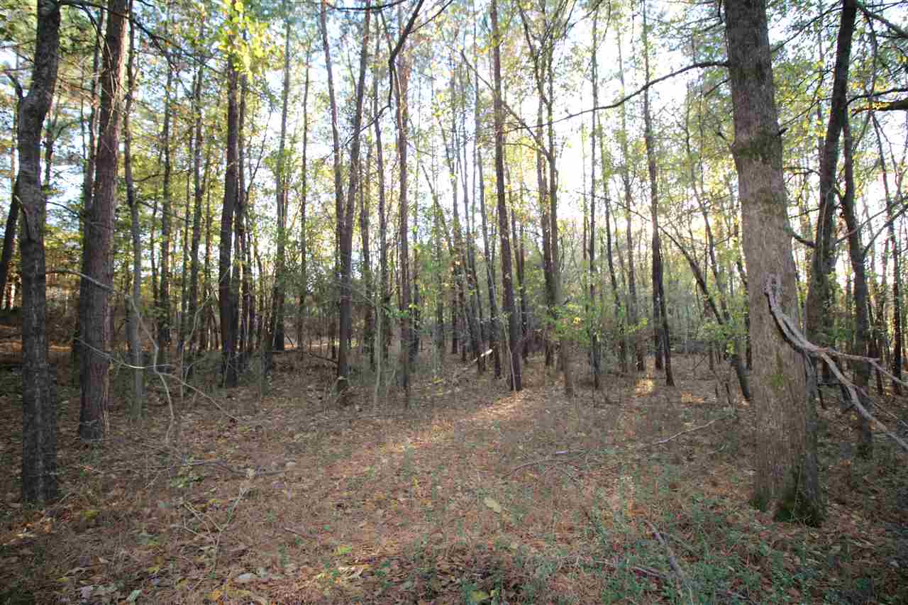 1086 Dent Road Eads, TN 38028 - Photo 9 of 24 Gallery Image 9