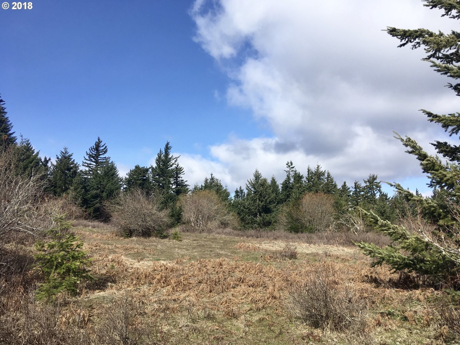 Fawcett Road White Salmon, WA 98672 - Photo 1 of 13