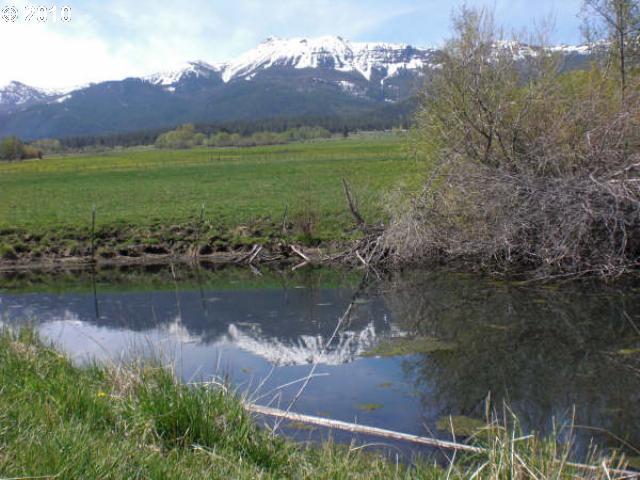 65080 Aspen Grove Road, Unit 1100 Enterprise, OR 97828 - Photo 2 of 4 Gallery Image 2