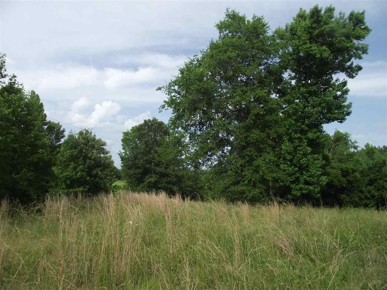 2340 Willis Road Enville, TN 38332 - Photo 2 of 17 Gallery Image 2