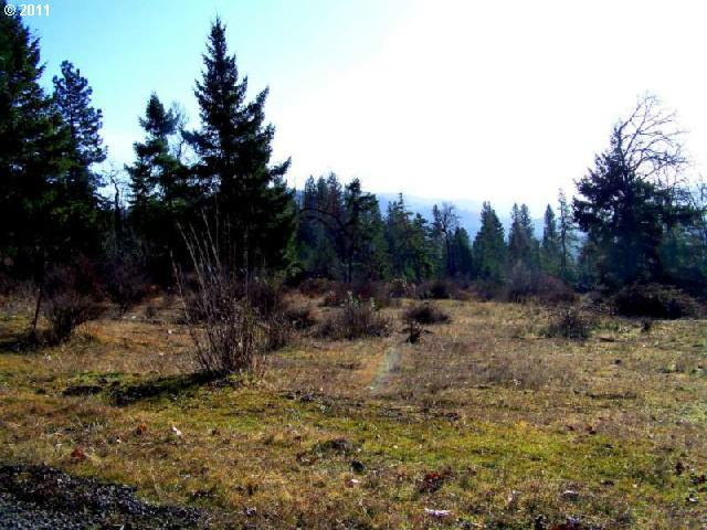 Ridgeview Road, Unit 1 White Salmon, WA 98672 - Photo 14 of 16 Gallery Image 14