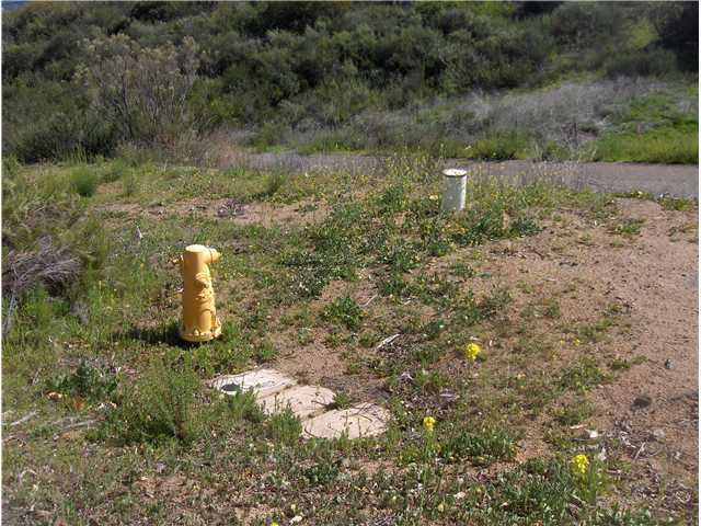 Canyon Rim Canyon Rim Al El Cajon, CA 92021 - Photo 9 of 14 Hydrant on property