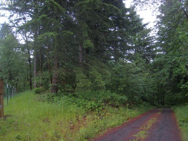 21 Cougar Creek Road Stevenson, WA 98648 - Photo 9 of 10 Gallery Image 9