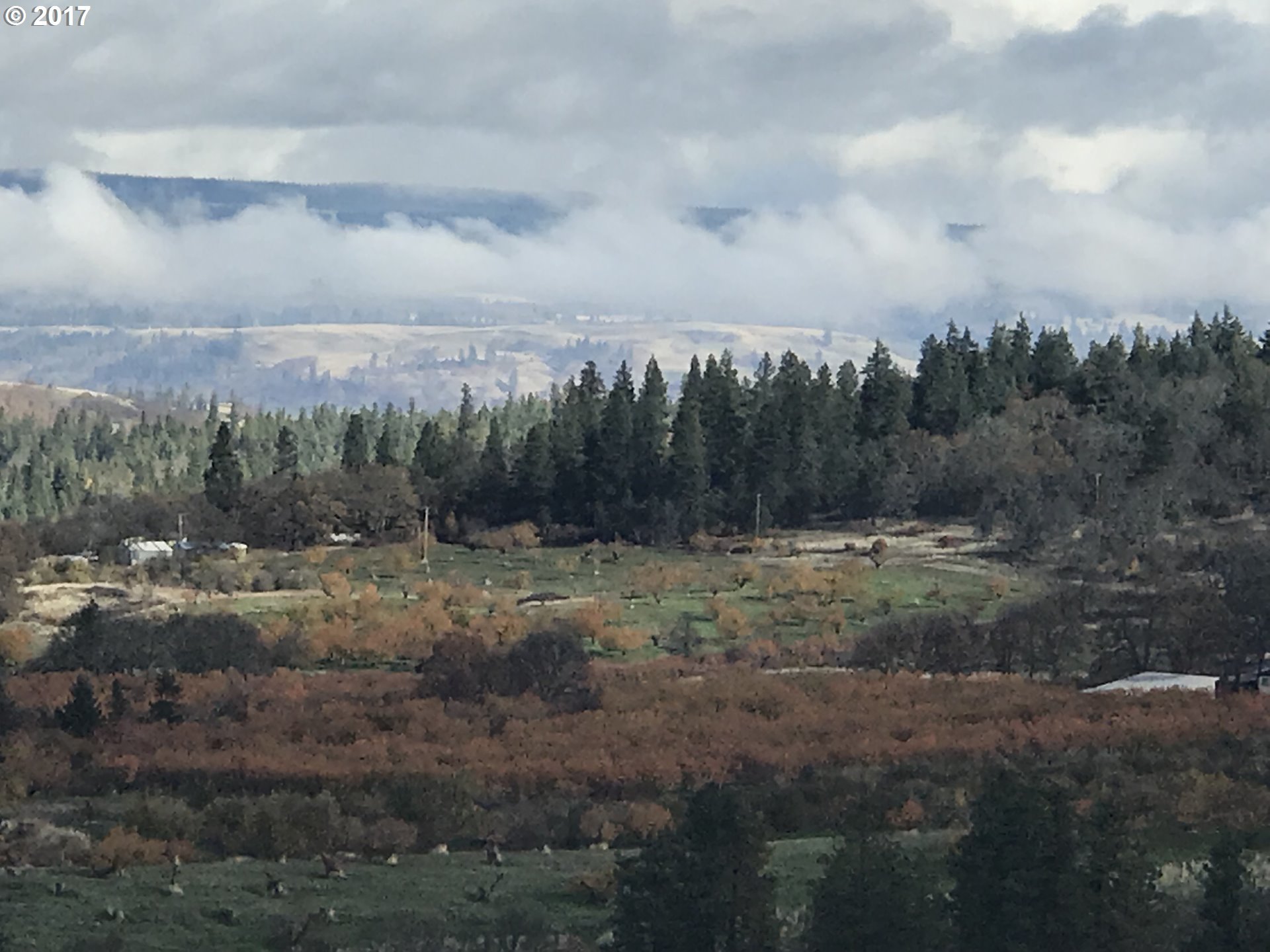 Carroll Road Mosier, OR 97040 - Photo 16 of 16 Gallery Image 16