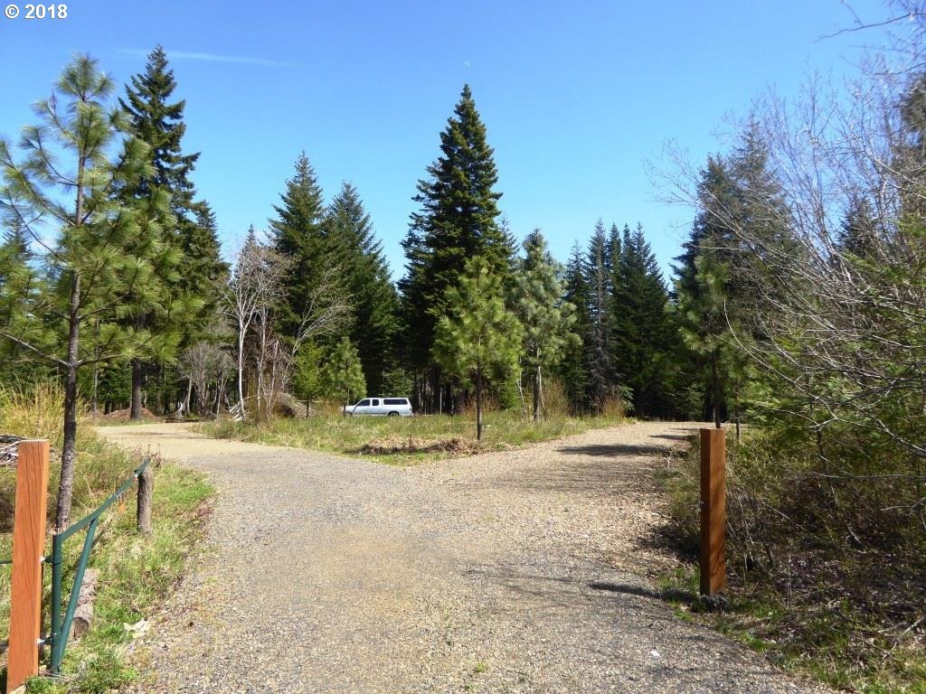 Bristol Road White Salmon, WA 98672 - Photo 4 of 21