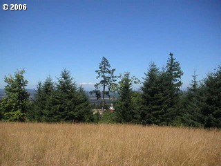 17015 Southwest Parrett Mountain Road Sherwood, OR 97140 - Photo 5 of 8