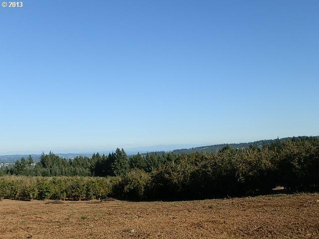 0 Southwest Old Kruger Road, Unit LOT 2 Sherwood, OR 97140 - Photo 7 of 16 Gallery Image 7
