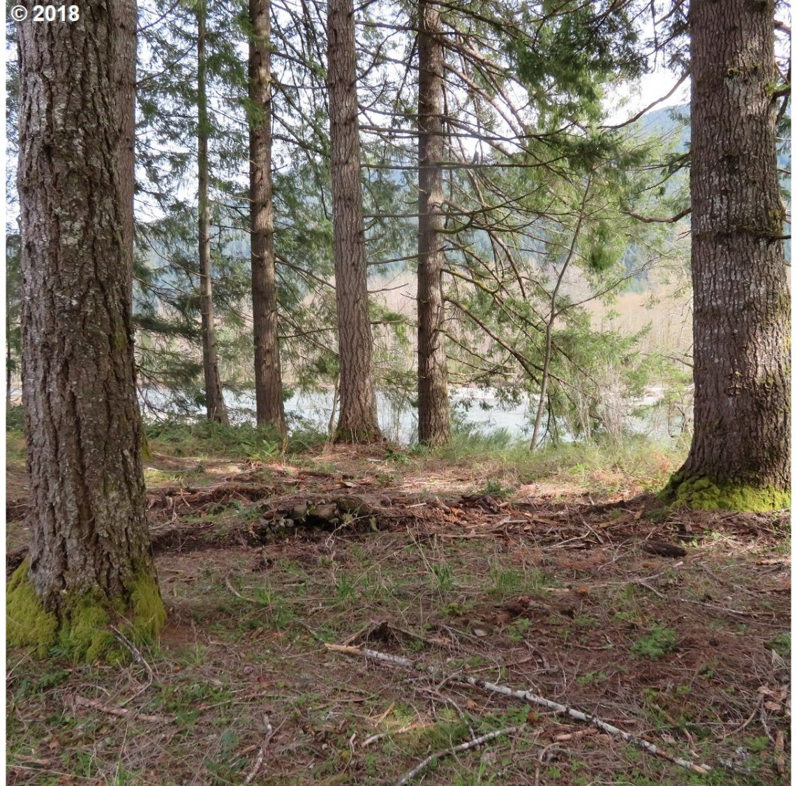 Carr Road Randle, WA 98377 - Photo 17 of 32 Gallery Image 17