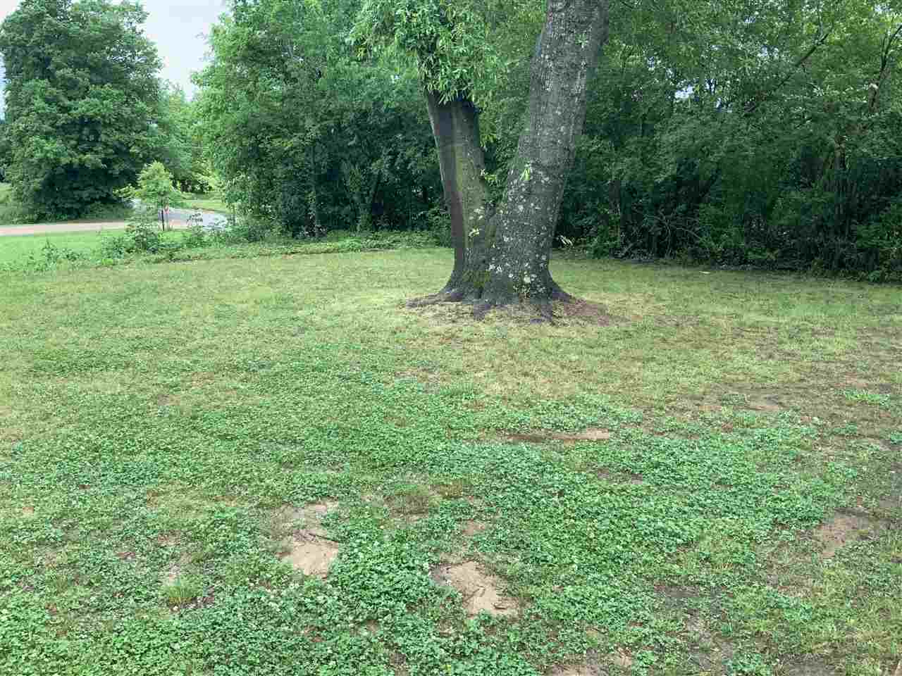 3333 Marshall Road Munford, TN 38058 - Photo 3 of 18 Gallery Image 3