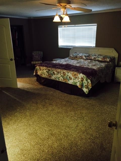 712 Segovia Road St. Augustine, FL 32086 - Photo 28 of 45