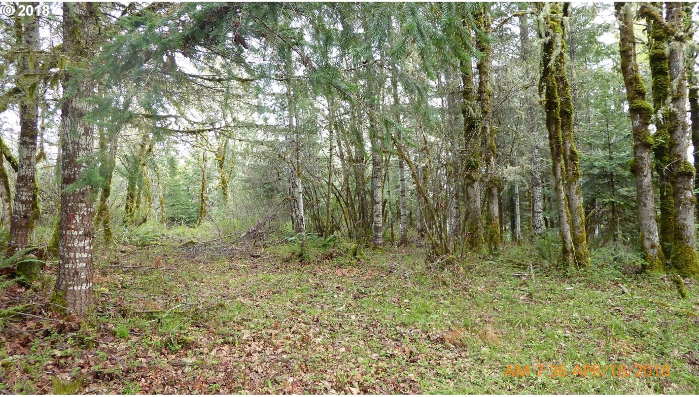 7535 Sawtell Road Sheridan, OR 97378 - Photo 29 of 32 Gallery Image 29