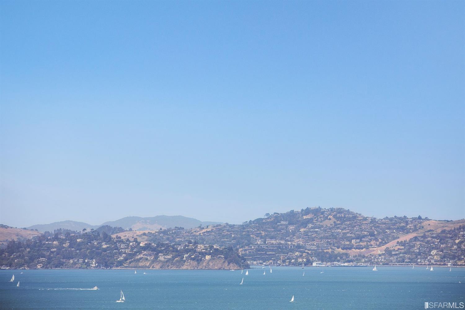 2440 Scott Street San Francisco, CA 94115 - Photo 56 of 66